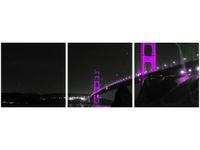 90X30CM VIOLET GOLDEN BRIDGE TANEL TEEMUSK TRÓJ OBRAZ