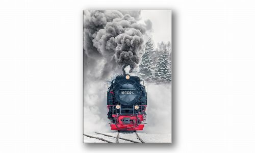 OBRAZ NA PŁÓTNIE 056 Lokomotywa 40x60cm na Arena.pl