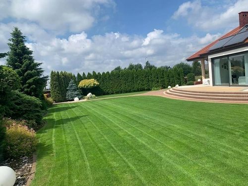 Nawóz do trawy do trawników na lato MAGGROW 20 kg na Arena.pl