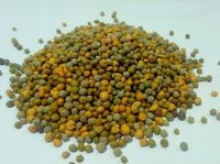 Nawóz Exact 1kg Osmocote High K 5-6msc Do Lilii Wodnych i Roślin Kwitnących