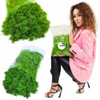 Mech CHROBOTEK RENIFEROWY fiński 500g ŚCIÓŁKA jasno zielony