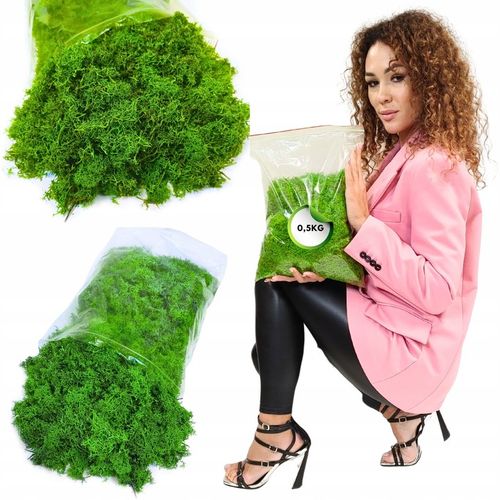 Mech CHROBOTEK RENIFEROWY fiński 500g ŚCIÓŁKA jasno zielony na Arena.pl