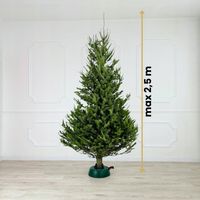 STOJAK POD CHOINKĘ CHOINKOWY STABILNA PODSTAWKA DO ŻYWEJ CHOINKI DO 2.5 M