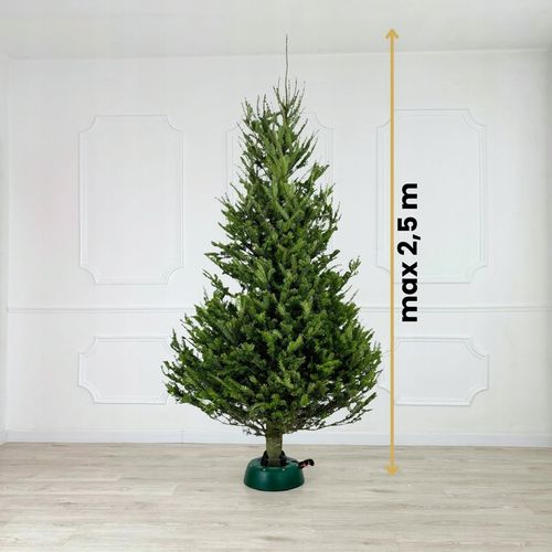 STOJAK POD CHOINKĘ CHOINKOWY STABILNA PODSTAWKA DO ŻYWEJ CHOINKI DO 2.5 M na Arena.pl