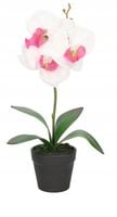 STORCZYK ORCHIDEA SZTUCZNE KWIATY W DONICZCE