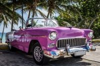 FOTOTAPETA SAMOCHÓD PLAŻA OCEAN PALMY 380x256