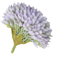 CZOSNEK GŁÓWKA DO WYRABIANIA JAK ŻYWA GUMOWA 8CM PREMIUM