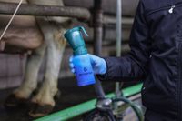 Kubek do dezynfekcji strzyków Twin, bezpowrotny, zielony, 300 ml, Kerbl