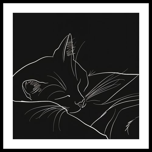 Plakat 40x40cm Nocny Spokój na Arena.pl