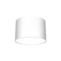 Pokojowa lampa sufitowa Dixie do przedpokoju loft biała