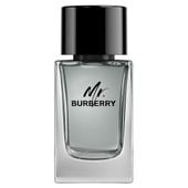 Mr. Burberry woda toaletowa spray 50ml