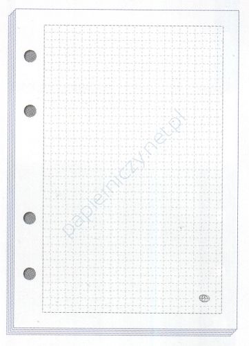 WKŁAD DO SEGREG A4/100 A"5 KRATA 0941 na Arena.pl