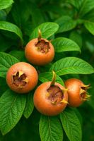 product-compare-61308992