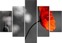 70 100CM OBRAZ 5 ELEM SAMOTNY MAK JENNY DOWNING DRUK PŁÓTNO