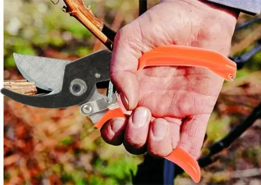 SEKATOR OGRODOWY RĘCZNY DO GAŁĘZI KRZEWÓW NOŻYCE zdjęcie 3