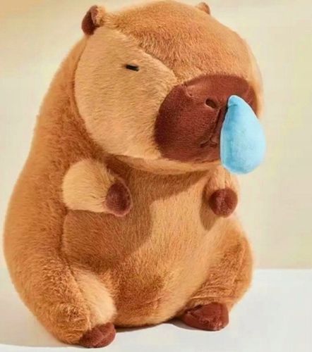 KAPIBARA ŚPIĄCA PLUSZAK ZABAWKA MASKOTKA PLUSZOWA PRZYTULANKA MIĘKKA 30CM na Arena.pl