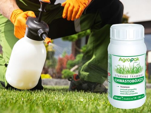 STARANE TRAWNIKI środek oprysk na chwasty w trawie trawniku 200ml NA 666m2 na Arena.pl