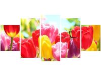 product-compare-58639480