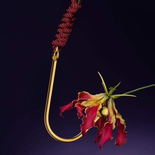 upko vaginal/anal hook na Arena.pl