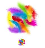 PIÓRA INDYCZE 10-15 CM 30 SZT BRIGHTS CEPI-116 DP CRAFT