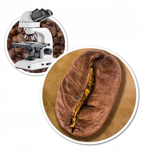 Kawa ziarnista Brazilliana Toucano 1kg x2 Świeżo Palona Arabica 100% na Arena.pl