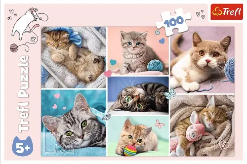 Puzzle 100 Elementów. W Kocim Świecie na Arena.pl