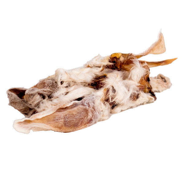 PRZYSMAK DLA PSA - NATURALNY GRYZAK UCHO KRÓLIKA Z FUTREM 10SZT | BULT zdjęcie 2