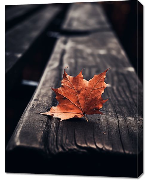 Obraz 70x90cm Pojedynczy Liść zdjęcie 1