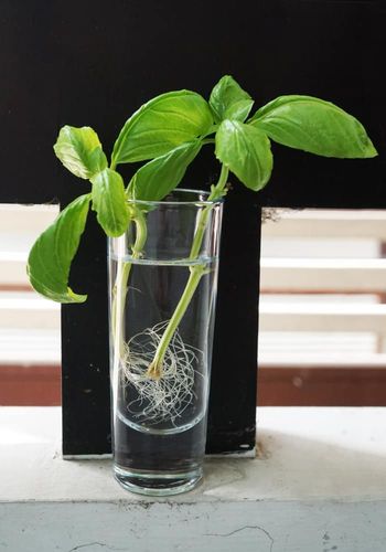 SUM28 MULTIROOTS UKORZENIACZ 100ML SUMIN na Arena.pl