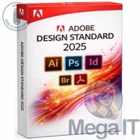 Design Standard 2025 - Licencja Wieczysta (LifeTime) - Windows - Licencja Biznes - BOX (USB)