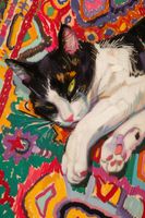 product-compare-59407745