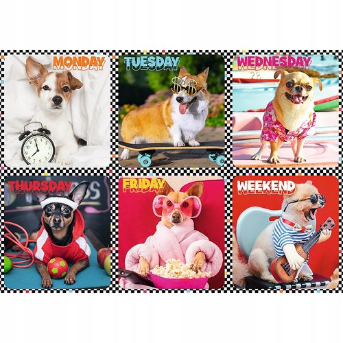 puzzle 200 wesołe psy 13279 na Arena.pl