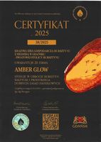 KOLCZYKI SREBRNE z CERTYFIKOWANYM Bursztynem SERCA SERDUSZKA SREBRO 925