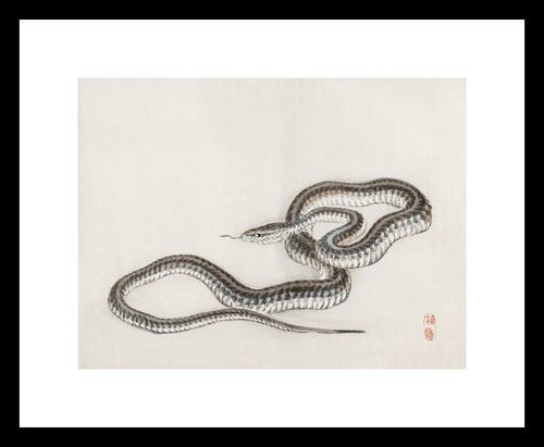 Plakat 20x15cm Snake, Kōno Bairei na Arena.pl