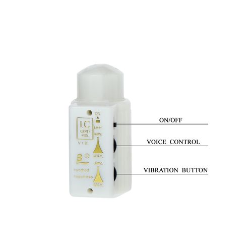 baile   mr. big rotation & vibration na Arena.pl