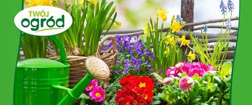 Mączka bazaltowa 10kg NAWÓZ WZAMACNIJĄCY ROŚLNY na Arena.pl