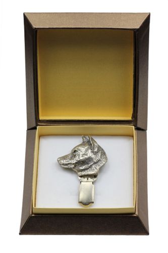 Shiba Inu - klips - 2584 na Arena.pl