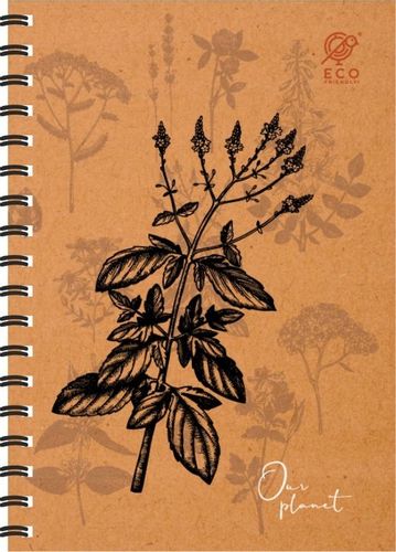 5x Kołozeszyt A4/80 kratka spirala GRUBA Podkładka na Arena.pl