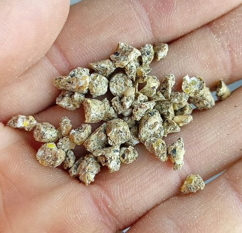 PASZA DLA KUR NIOSEK 25KG KARMA DLA KUR NIOSEK WITAMINY Z POKRZYWĄ I MIĘTĄ na Arena.pl