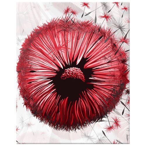 Obraz Drukowany 40X50 Czerwone Dmuchawce na Arena.pl