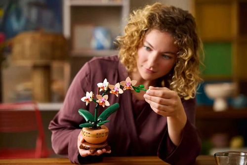 10343 - lego the botanical collection - mała orchidea na Arena.pl