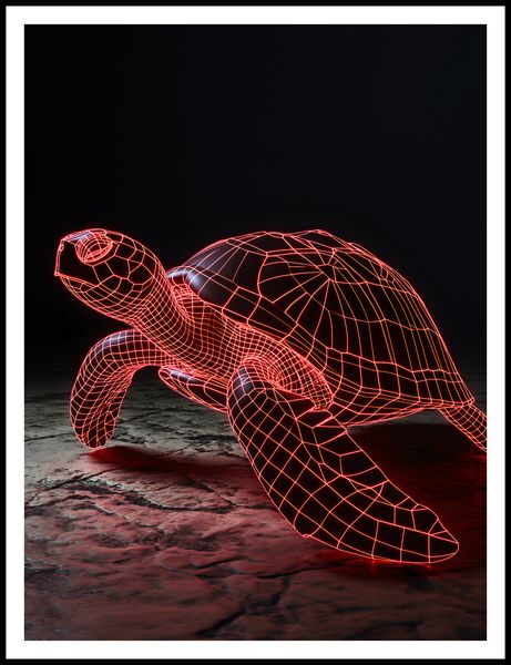 Plakat 75x100cm Neonowy Żółw zdjęcie 3