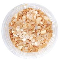 Płatki muszli kruszonej do paznokci ozdoby do hybrydy żelu CS14