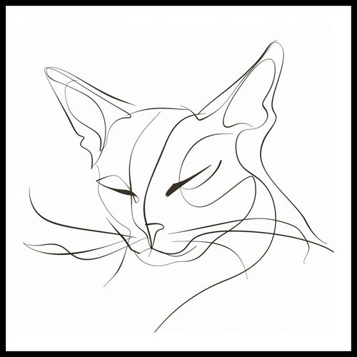 Plakat 80x80cm Linijny Kot na Arena.pl