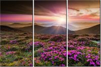 60 90CM OBRAZ 3 ELEM PIĘKNY KRAJOBRAZ DRUK PŁÓTNO RAMA