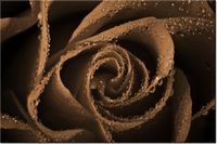 product-compare-58694278