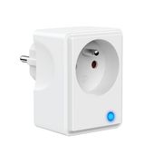 Inteligentne Gniazdko 16A WiFi Watomierz Timer Alexa Google Home Białe Szar