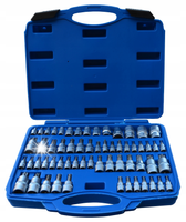 S-ST60B zestaw nasadek Torx/E-Torx/Torx Plus 60 szt Satra