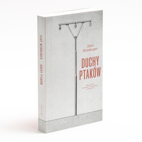 Duchy ptaków na Arena.pl