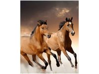 40X50CM STADO KONI OBRAZ